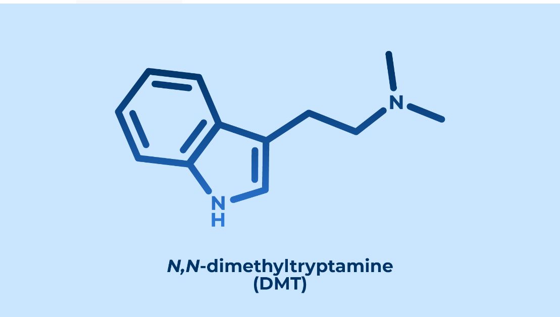 DMT molecule