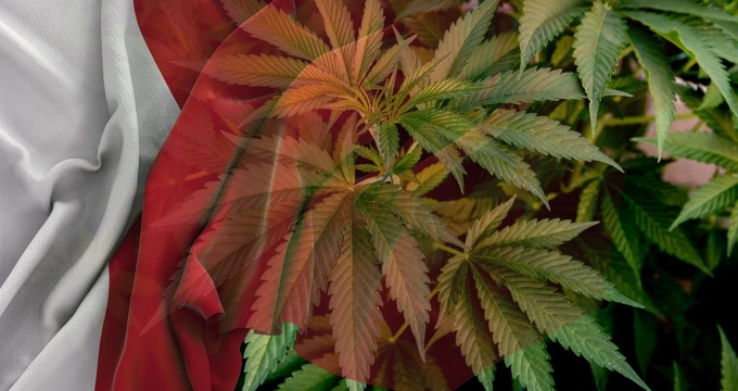 Malta flag cannabis