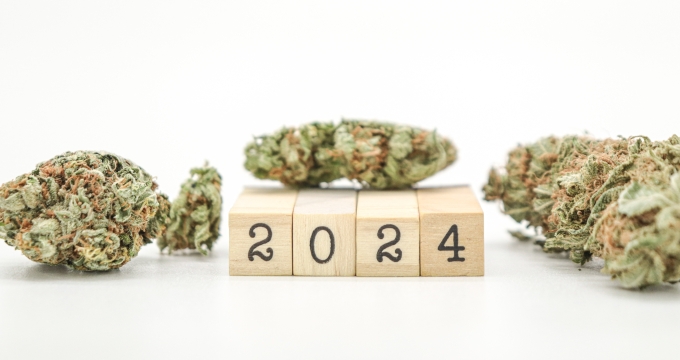 Medical Cannabis 2024