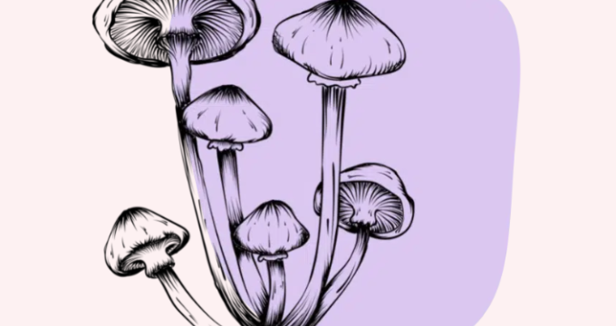 Mushroom illustration